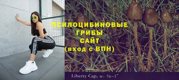мет Армянск