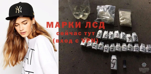 дживик Аркадак
